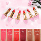 6 Colors Waterproof  Matte Lipstick